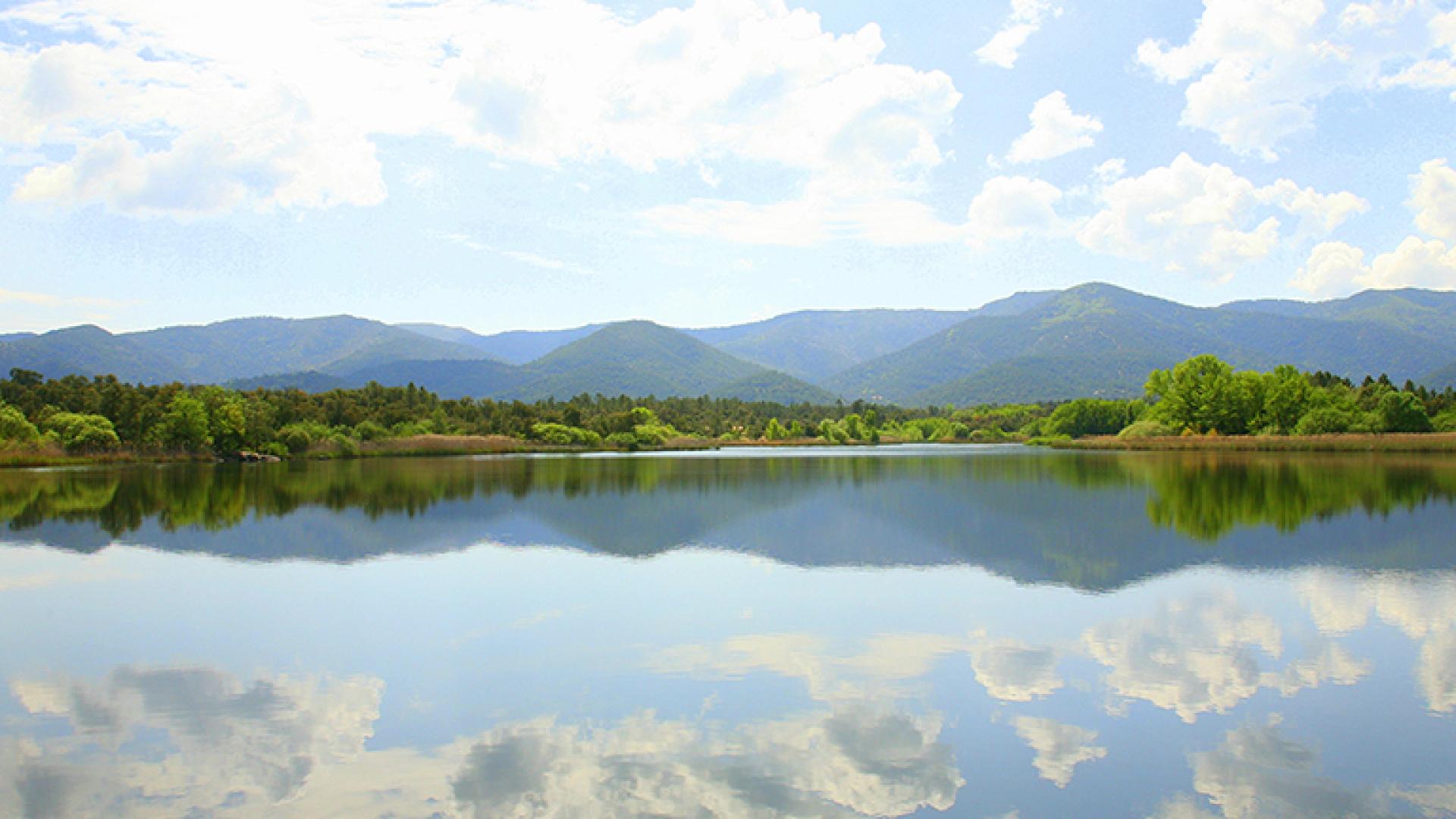 Le Cannet des Maures