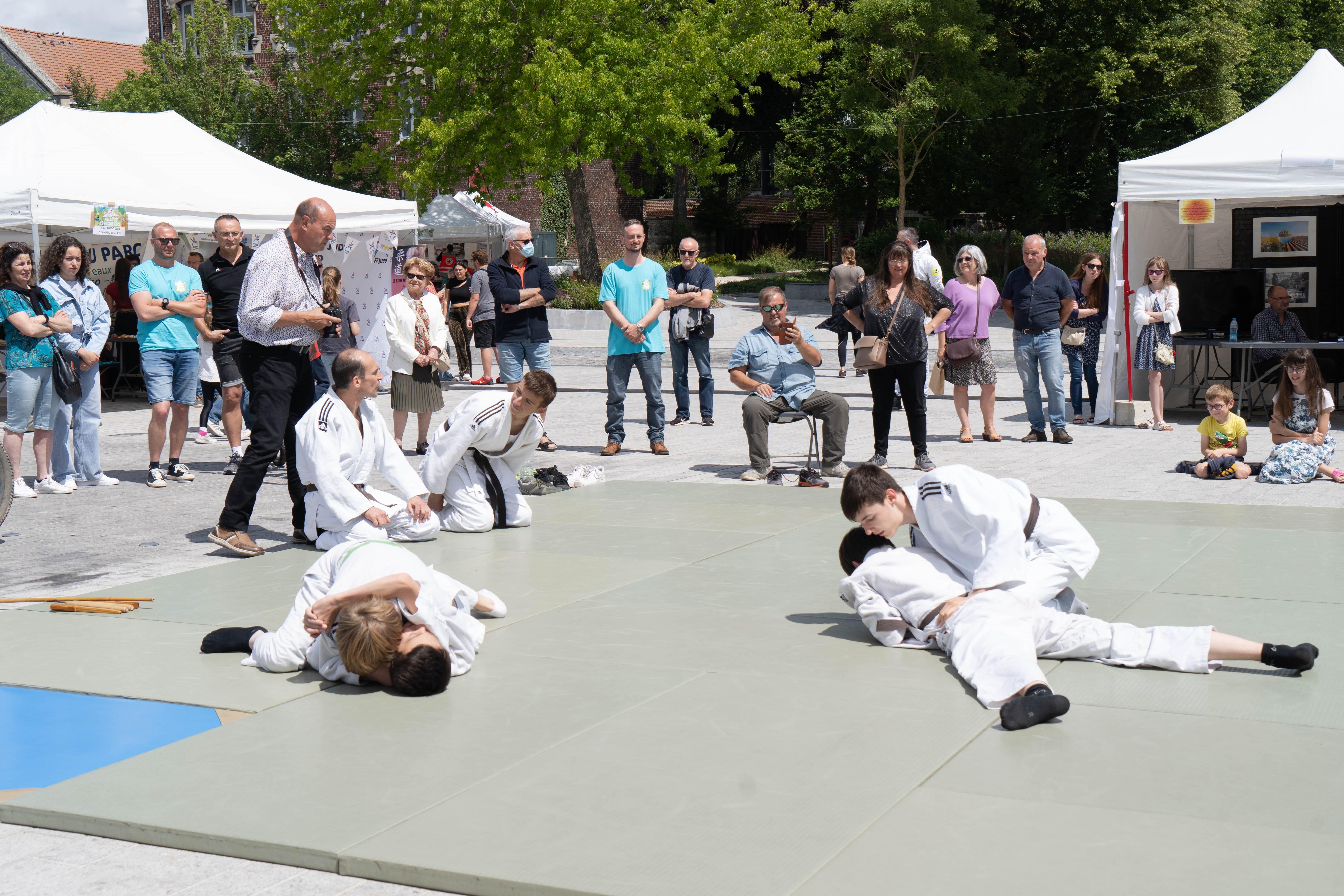 Saint Amand les Eaux sports